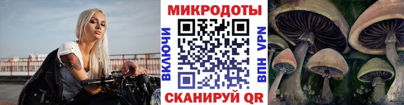 Галлюциногенные грибы GOLDEN TEACHER  цена   Рыльск 